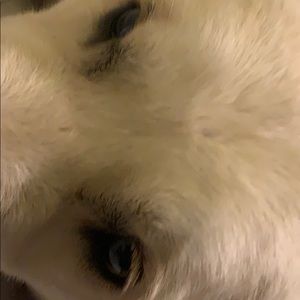 Meet your Posher, Eduardo